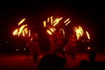 Fire performance before the burn