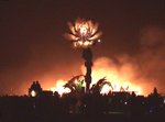Flower at the temple burn