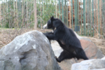 IMG_0911-small.jpg