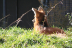 IMG_1055-small.jpg
