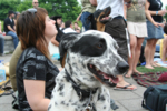 IMG_2747-resized.jpg