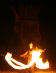 IMG_0157-cropped-resized.jpg