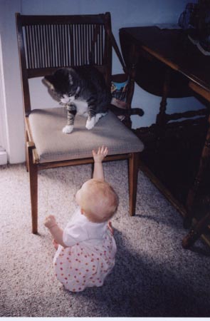 kitty1-swat