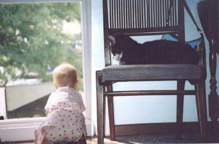 kitty2-window