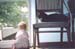 kitty2-window