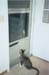 01cats