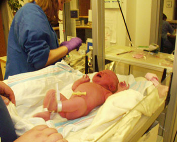 17eleanorinnursery