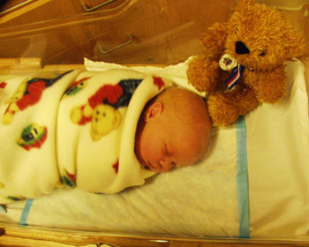 39teddybears