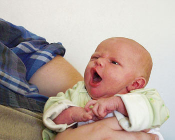 65faceatdad