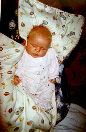 carseat_peppers_bunting