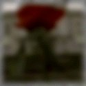 Dead Flowers