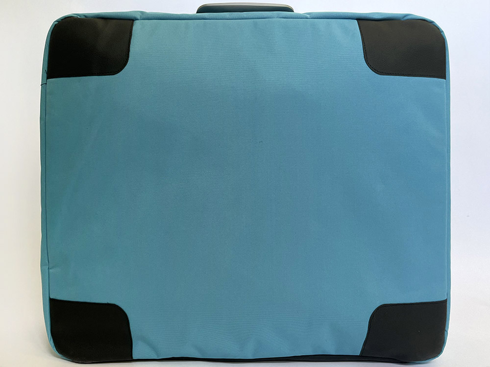 blue casesuit back view